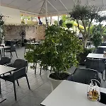 Misk & Tirana
