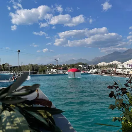 Misk & 5* טיראנה