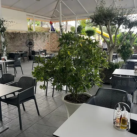 Misk & Tirana